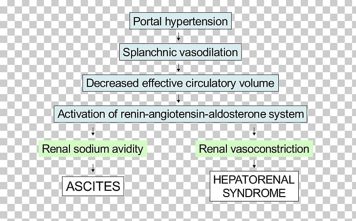 Document Line Angle Gastroenteritis Brand PNG, Clipart, Angle, Area, Art, Brand, Diagram Free PNG Download