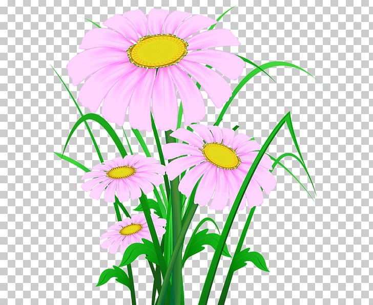 Common Daisy PNG, Clipart, Annual Plant, Art, Artwork, Aster, Chrysanths Free PNG Download