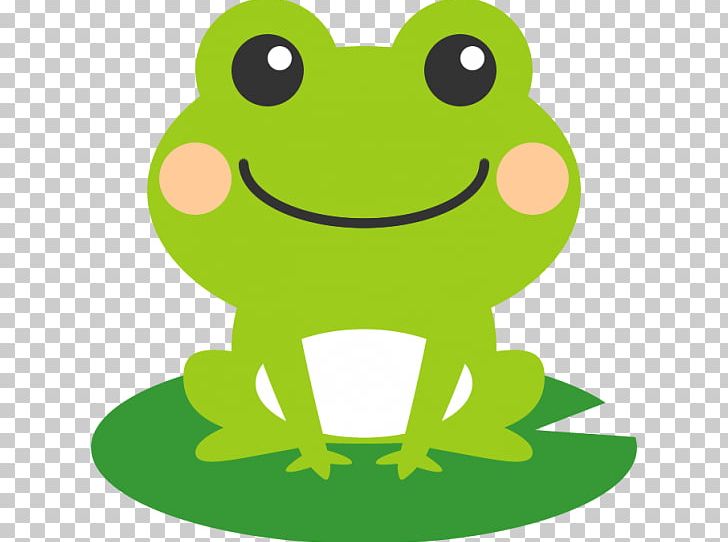 Frog Illustration Amphibians PNG, Clipart, Amphibian, Amphibians, Artwork, Blog, Book Illustration Free PNG Download