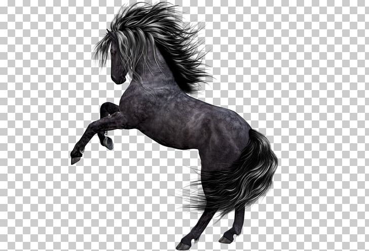 Horse Encapsulated PostScript PNG, Clipart, Animal, Autocad Dxf, Black And White, Bridle, Computer Icons Free PNG Download
