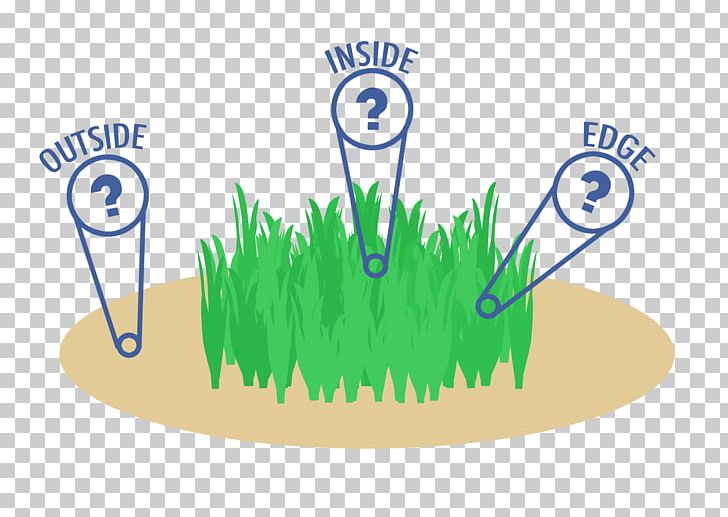 Human Microbiome Project Seagrass Edge Effects Microbiota Posidonia Oceanica PNG, Clipart, Brand, Commodity, Diagram, Ecology, Edge Effects Free PNG Download