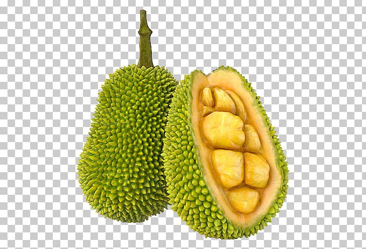 Jackfruit Cempedak 3D Modeling TurboSquid PNG, Clipart, 3d Computer Graphics, 3d Modeling, Artocarpeae, Artocarpus, Artocarpus Odoratissimus Free PNG Download