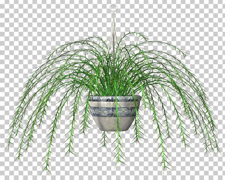 Portable Network Graphics Flowerpot Leaf Grasses PNG, Clipart, Branch, Branching, Flowerpot, Grass, Grasses Free PNG Download