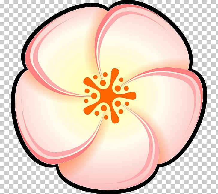 Peach Color PNG, Clipart, Artwork, Circle, Color, Drawing, Flower Free PNG Download