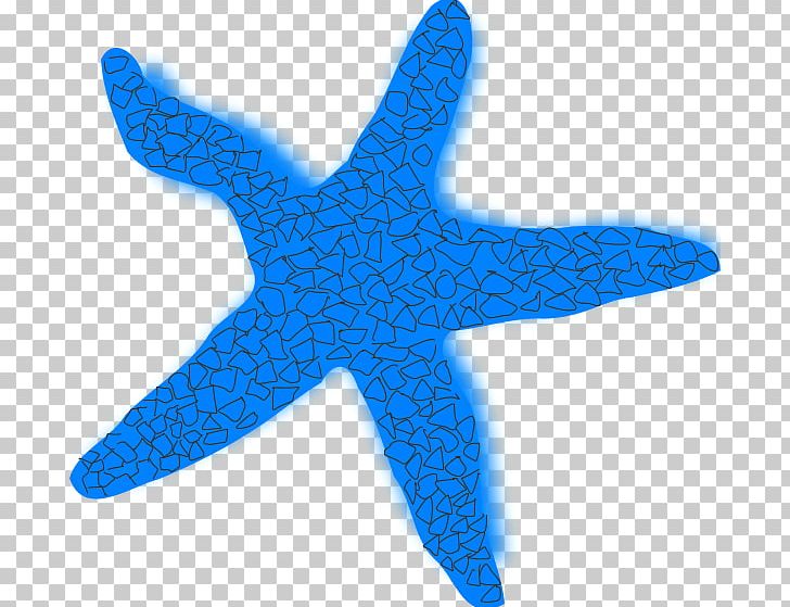 Starfish Brittle Star PNG, Clipart, Animal, Aqua, Blog, Blue Starfish Cliparts, Brittle Star Free PNG Download