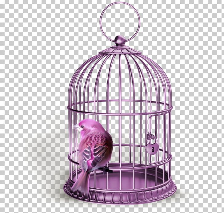 Birdcage Stock Photography Gold PNG, Clipart, Animals, Bird, Birdcage ...