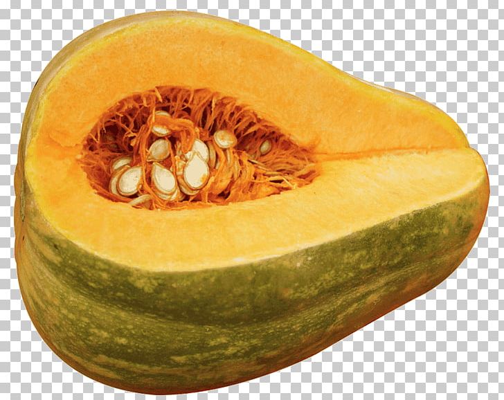 Butternut Squash Cucurbita Maxima Cucurbita Argyrosperma Cucurbita Pepo Courge PNG, Clipart, Association Kokopelli, Butternut Squash, Calabaza, Commodity, Crookneck Pumpkin Free PNG Download