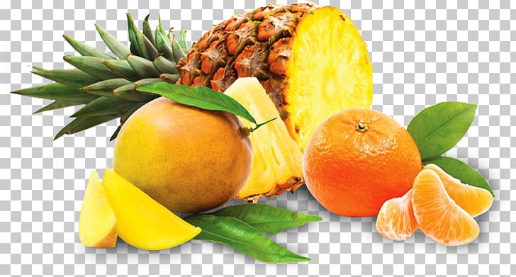 Juice Punch Clementine Tea Mandarin Orange PNG, Clipart, Ananas, Citrus, Clementine, Diet Food, Drink Free PNG Download