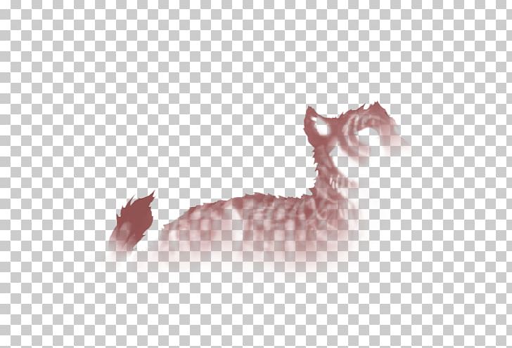 Kitten Whiskers Tabby Cat Paw PNG, Clipart, Animals, Carnivoran, Cat, Cat Like Mammal, Fauna Free PNG Download