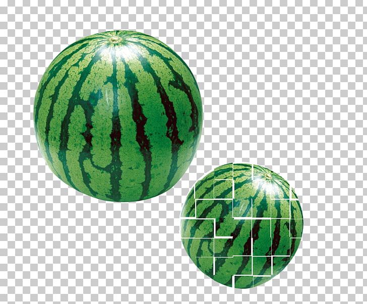 Watermelon Fruit Berry Ripening PNG, Clipart, Apple, Berry, Bitter Melon, Citrullus, Cucumber Gourd And Melon Family Free PNG Download