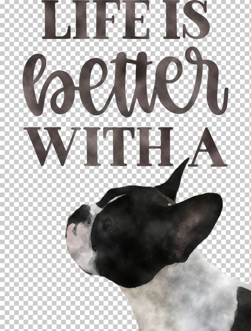 Life Better PNG, Clipart, Better, Boston Terrier, Breed, Dog, Insurance Free PNG Download