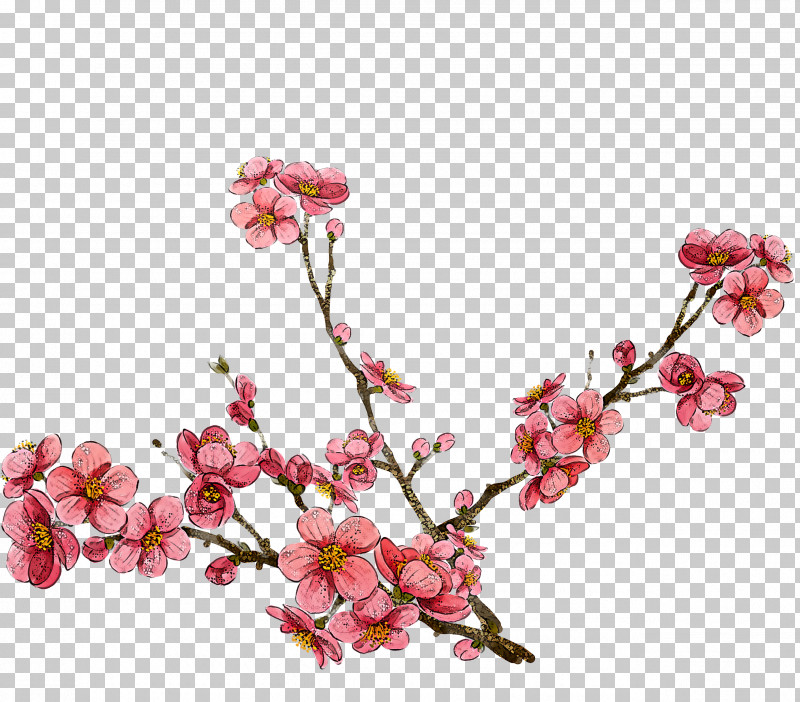 Cherry Blossom PNG, Clipart, Artificial Flower, Blossom, Branch, Bud, Cherry Blossom Free PNG Download