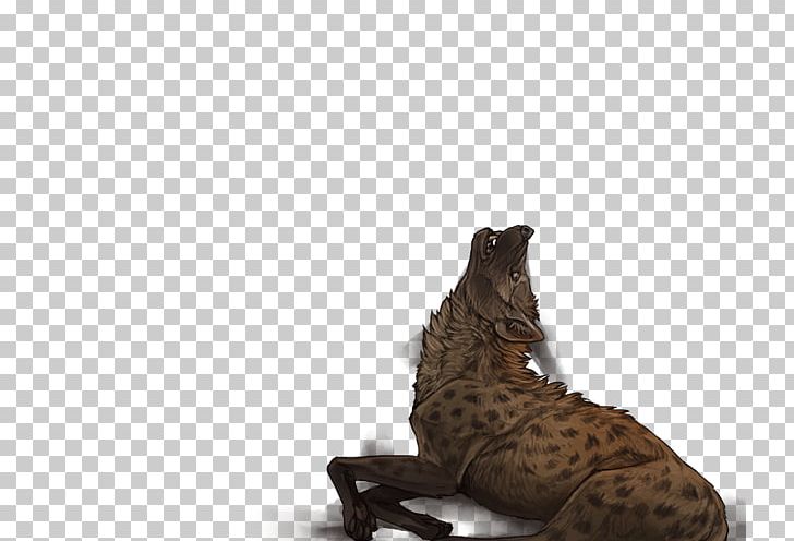 Cat Cougar Mammal Animal Fauna PNG, Clipart, Animal, Animals, Big Cat, Big Cats, Carnivora Free PNG Download