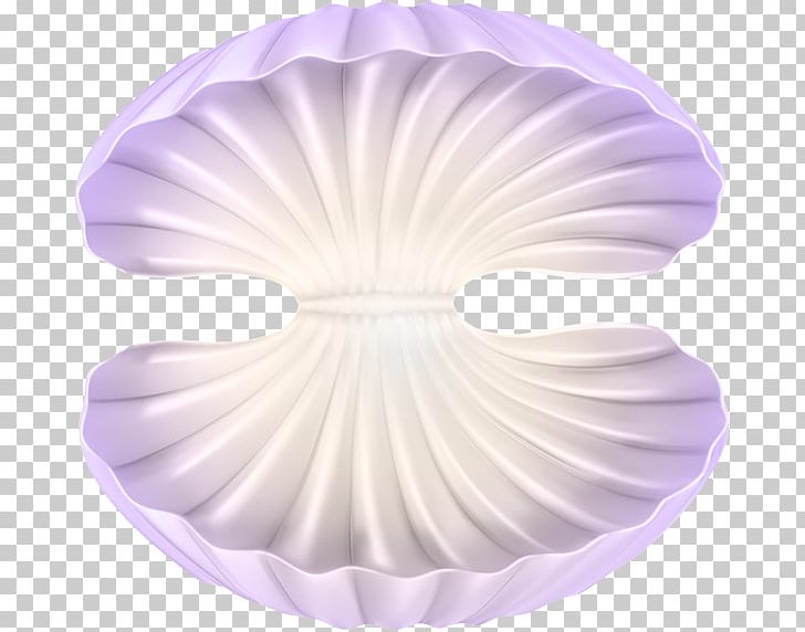 Oyster PNG, Clipart, Animals, Art, Circle, Clam, Clip Free PNG Download