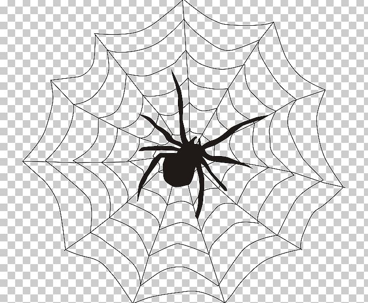 Spider Web PNG, Clipart, Arachnid, Area, Black And White, Blog, Clip Art Free PNG Download