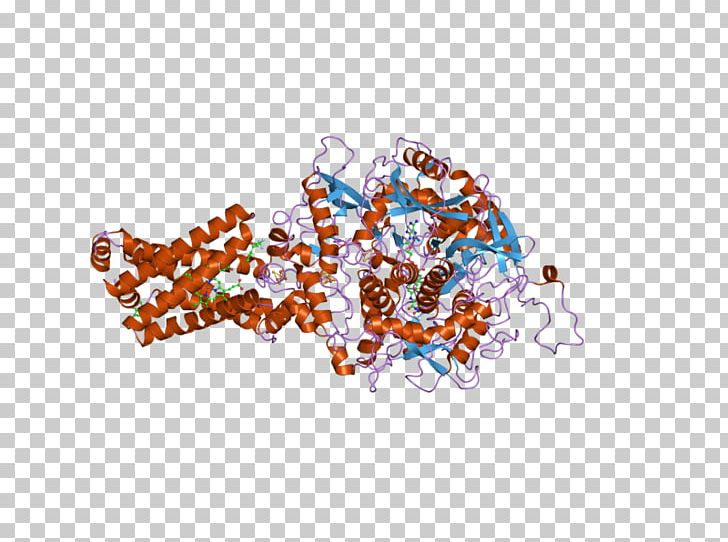 Succinate Dehydrogenase Complex Subunit C SDHD Isocitrate Dehydrogenase SDHB PNG, Clipart, Art, Body Jewelry, Complex, Crystal, Cytochrome B Free PNG Download