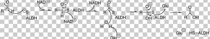Aldehyde Dehydrogenase Acetaldehyde ALDH2 PNG, Clipart, Acetaldehyde Dehydrogenase, Alcohol, Angle, Black, Enzyme Free PNG Download