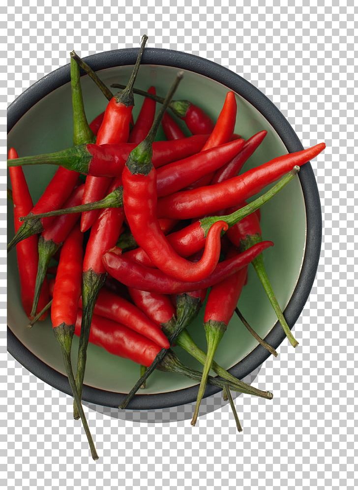 Chili Pepper Facing Heaven Pepper Thai Cuisine Vegetable Ingredient PNG, Clipart, Birds Eye Chili, Cayenne Pepper, Chili Peppers, Chili Sauce, Cooking Free PNG Download
