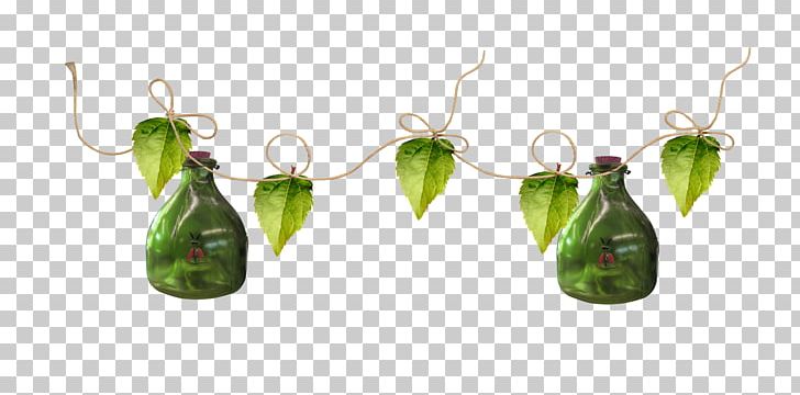 Rope Bottle Leaf PNG, Clipart, Autumn Leaves, Bottle, Download, Drinkware, Fall Leaves Free PNG Download