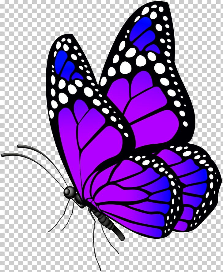 Butterfly PNG, Clipart, Blue, Brush Footed Butterfly, Butterflies, Clipart, Computer Icons Free PNG Download