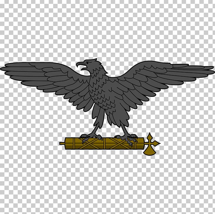 Flag Of Italy Italian Social Republic Second World War PNG, Clipart, Accipitriformes, Animals, Bald Eagle, Beak, Benito Mussolini Free PNG Download