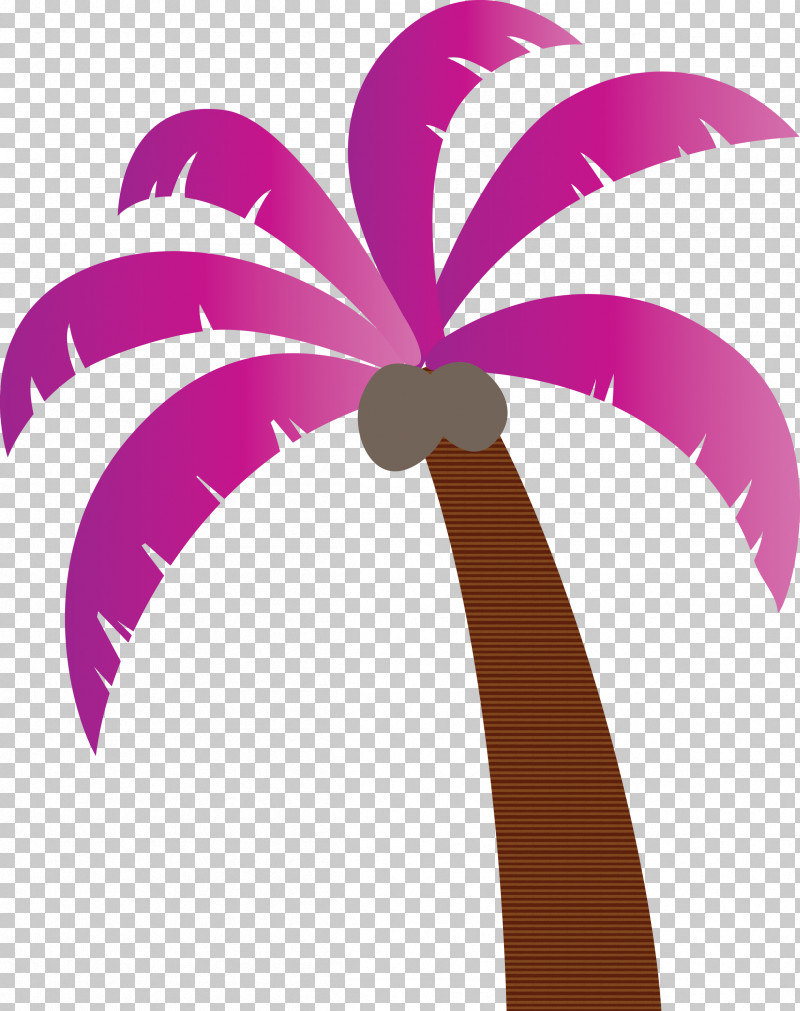 Palm Trees PNG, Clipart, Beach, Biology, Cartoon Tree, Leaf, Meter Free PNG Download