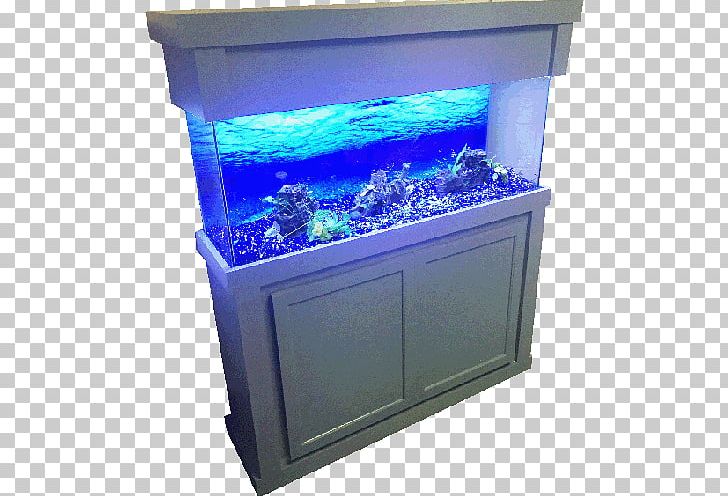 Birch Aquarium Business Cabinetry Sales PNG, Clipart, Aquarium, Aquarium Lighting, Birch, Birch Aquarium, Business Free PNG Download