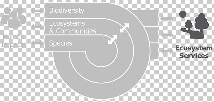 Leiden University Afrika-Studiecentrum Leiden University Of Exeter Delft University Of Technology PNG, Clipart, African Studies, Afrikastudiecentrum Leiden, Angle, Area, Borneo Elephant Free PNG Download