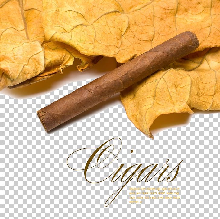 Tobacco And Cigar Clip Buckle Free HD PNG, Clipart, Aroma, Buckle, Cartoon, Cigar, Cigarillo Free PNG Download