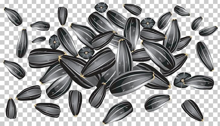 Common Sunflower Portable Network Graphics Sunflower Seed PNG, Clipart, Black And White, Common Sunflower, Download, Food, Fruit Free PNG Download