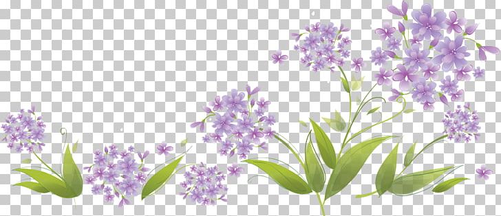 Photography PNG, Clipart, Art, Branch, Clip Art, Download, Drawing Free PNG Download