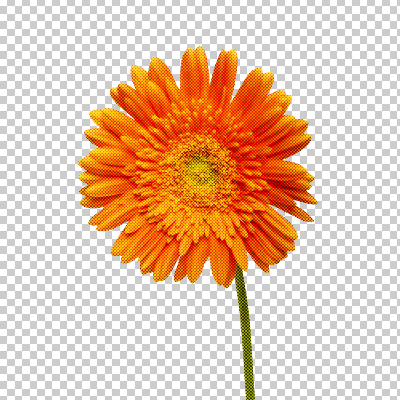 Artificial Flower PNG, Clipart, Annual Plant, Artificial Flower, Asterales, Barberton Daisy, Calendula Free PNG Download