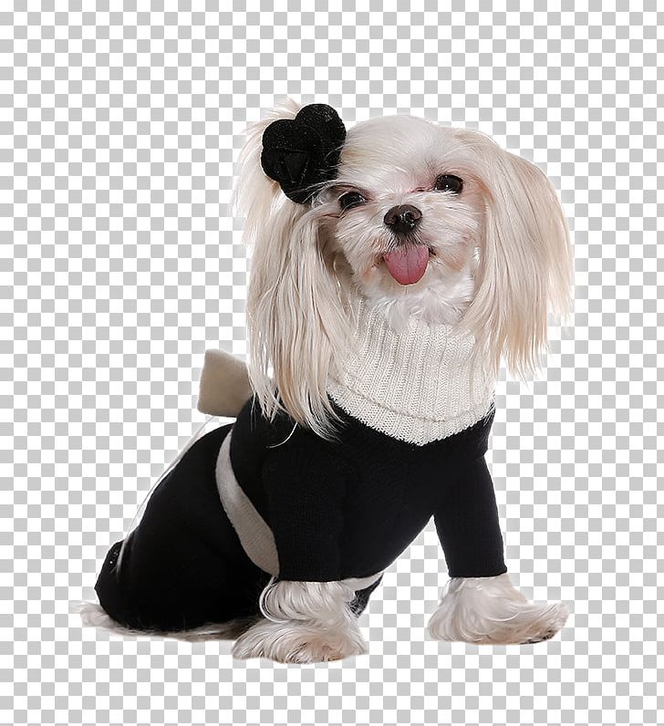 Dog Breed Puppy Clothing Dress PNG, Clipart, Animals, Breed, Carnivoran, Clothing, Clothing Accessories Free PNG Download