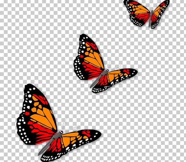 Graphic Arts PNG, Clipart, Animal, Arthropod, Blue Butterfly, Brush Footed Butterfly, Butt Free PNG Download