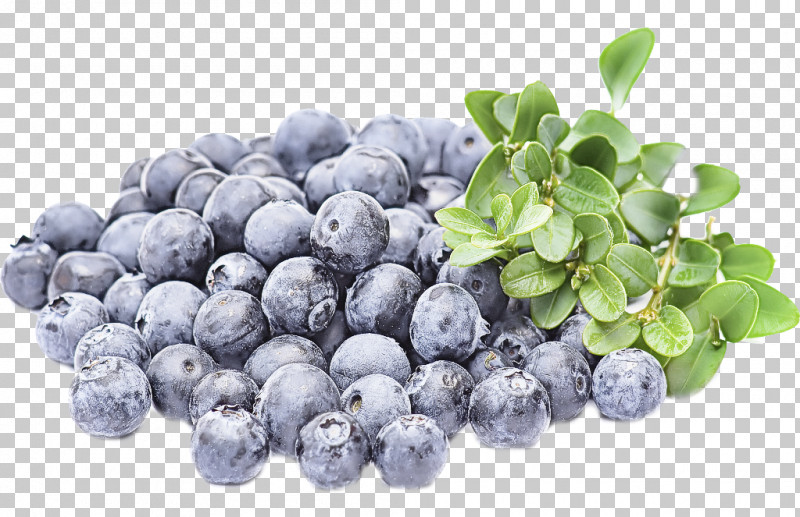 Bilberry Fruit Blueberry Berry Superfood PNG, Clipart, Berry, Bilberry, Blueberry, Food, Fruit Free PNG Download