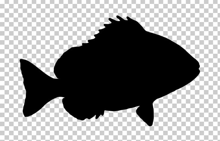 Fish Silhouette PNG, Clipart, Animals, Black, Black And White, Clip Art, Discus Free PNG Download