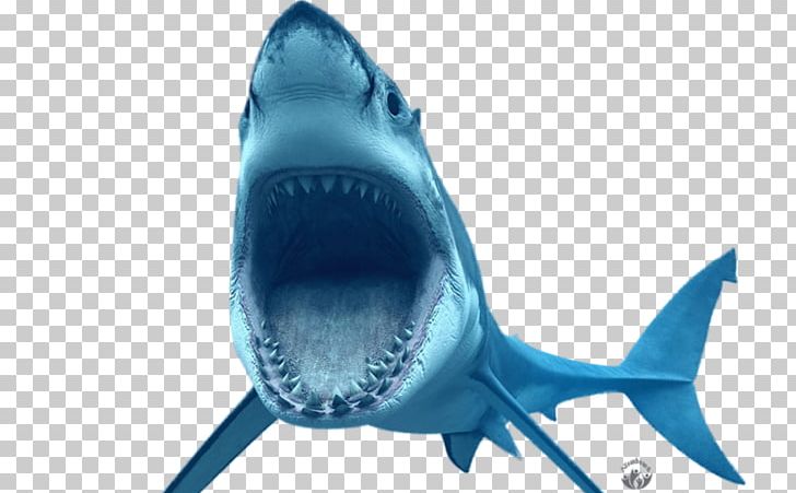 Great White Shark Bruce Tiger Shark PNG, Clipart, Bruce, Carcharhiniformes, Carcharhinus Amblyrhynchos, Cartilaginous Fish, Electric Blue Free PNG Download