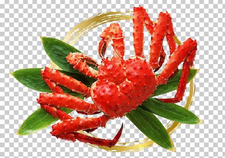 Red King Crab Snow Crab Lithodes Santolla Decapods PNG, Clipart, Animals, Animal Source Foods, Chela, Chionoecetes Bairdi, Crab Free PNG Download