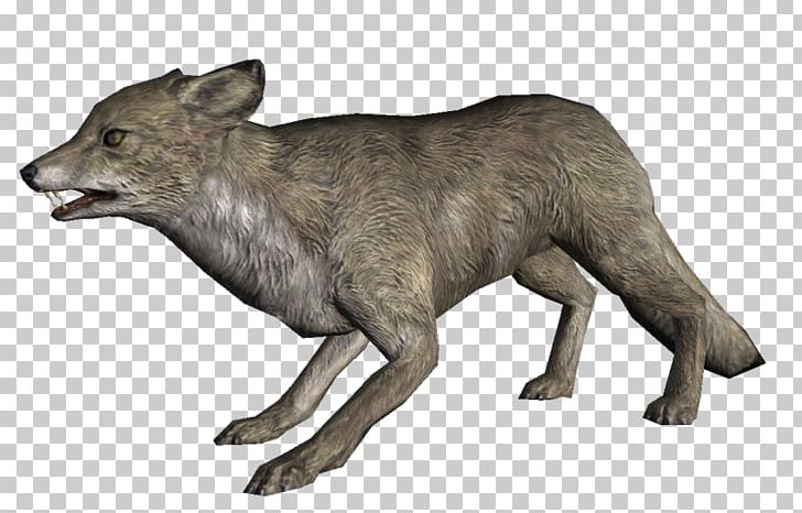 Arctic Fox The Elder Scrolls V: Skyrim – Dragonborn The Elder Scrolls: Legends Coyote Gray Wolf PNG, Clipart, Animals, Arctic Fox, Carnivoran, Coyote, Dog Like Mammal Free PNG Download