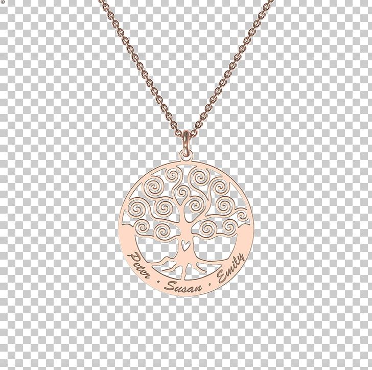 Locket Necklace Earring Jewellery Charms & Pendants PNG, Clipart, Birthstone, Body Jewelry, Bracelet, Chain, Charm Bracelet Free PNG Download