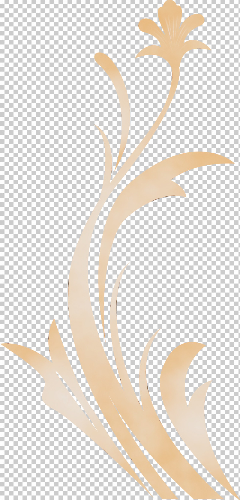 Brown Beige Plant PNG, Clipart, Beige, Brown, Decoration Frame, Floral Frame, Flower Frame Free PNG Download