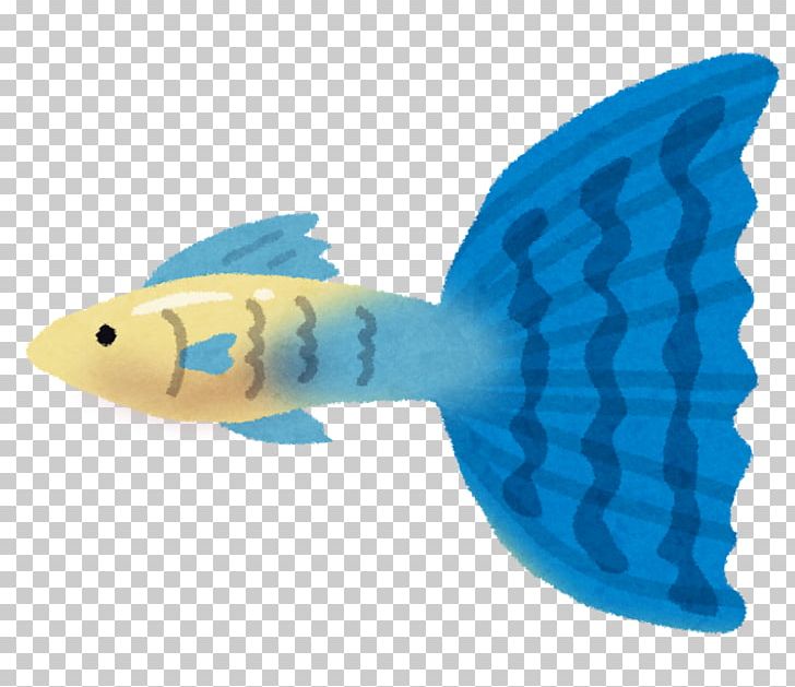 Guppy Fish ユニバーサルホーム茂原店 Pet PNG, Clipart, Animals, Blue, Dog, Dog Food, Electric Blue Free PNG Download