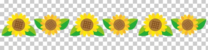 Sunflower Flower Line Material. PNG, Clipart, Child, Common Sunflower, Computer Wallpaper, Flower, Furisode Free PNG Download