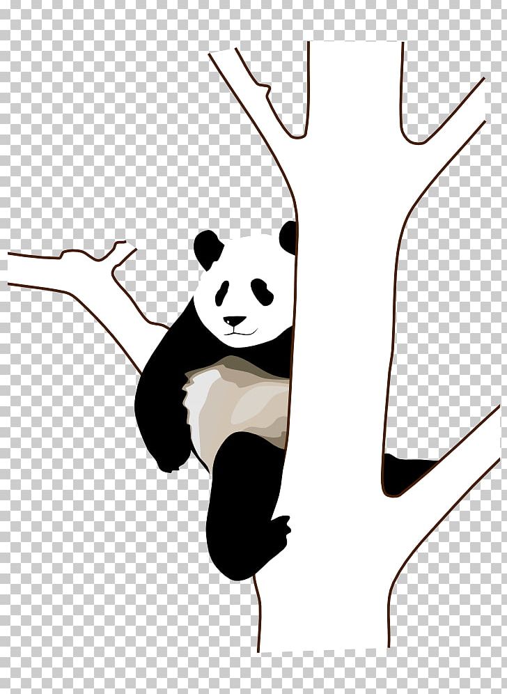 Giant Panda Red Panda Bear PNG, Clipart, Animals, Bear, Black, Carnivoran, Child Free PNG Download