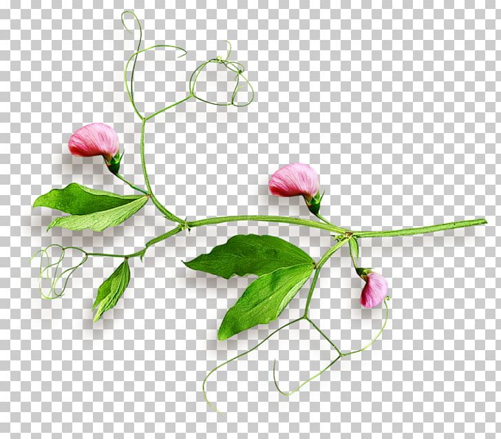 Gift Flower Bouquet PNG, Clipart, Accessories, Antiquity, Branch, Cartoon, Decorative Free PNG Download