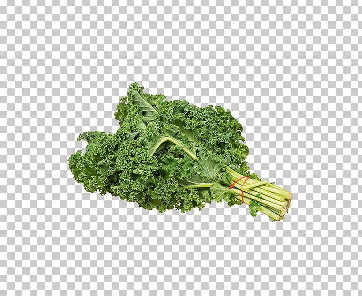 Kale Collard Greens PNG, Clipart, Broccoli, Brussels Sprout, Chard, Clip , Collard Greens Free PNG Download