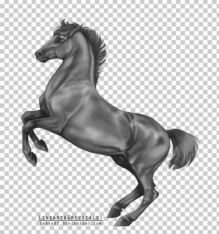 Lipizzan Stallion Arabian Horse Grayscale Black And White PNG, Clipart, Arabian Horse, Art, Bit, Black And White, Bridle Free PNG Download