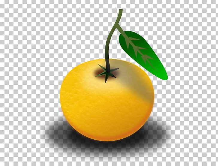Orange Juice PNG, Clipart, Apple, Bitter Orange, Citrus, Clementine, Computer Icons Free PNG Download