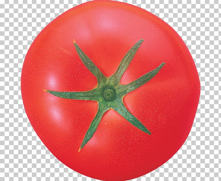 Vegetable Tomato PNG, Clipart, Cherry Tomato, Depositfiles, Digital Image, Food, Food Drinks Free PNG Download