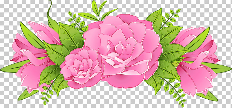 Rose PNG, Clipart, Chinese Peony, Common Peony, Cut Flowers, Flower, Impatiens Free PNG Download